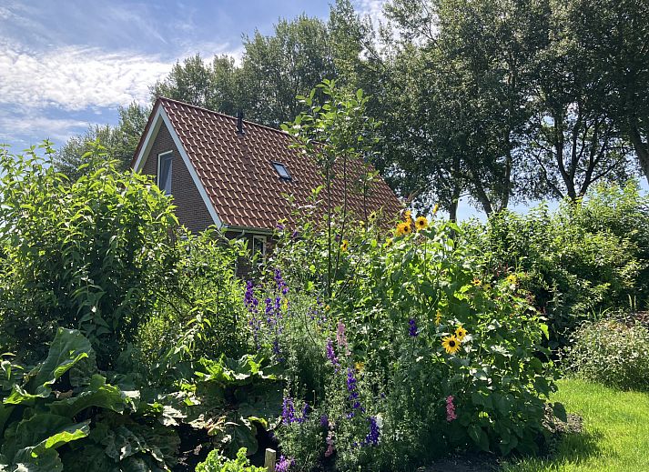 Guest house 193502 - Holiday property Zuidoost Drenthe - DG1647