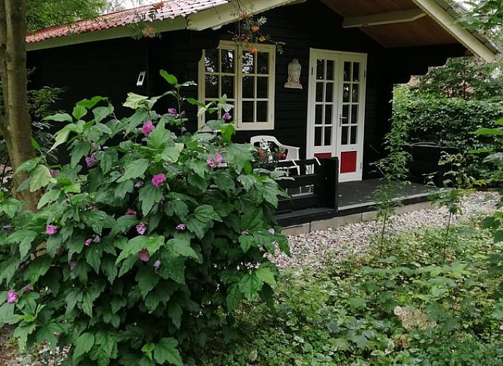 Spacious garden at Holiday Home in 't Haantje, Southeast Drenthe, with green surroundings and terrace.