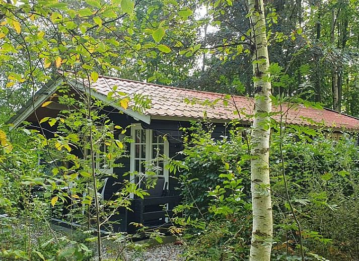 Spacious garden at Holiday Home in 't Haantje, Southeast Drenthe, with green surroundings and terrace.