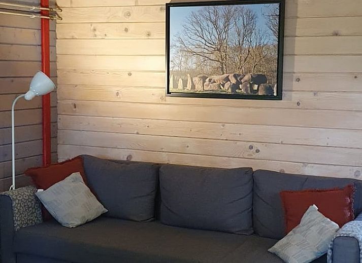 Spacious garden at Holiday Home in 't Haantje, Southeast Drenthe, with green surroundings and terrace.