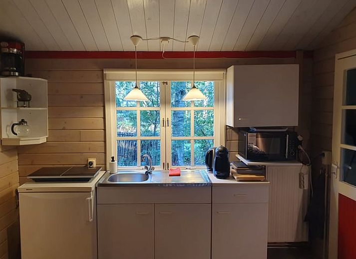 Cozy porch of Holiday Home in 't Haantje, Drenthe, surrounded by flowering shrubs.