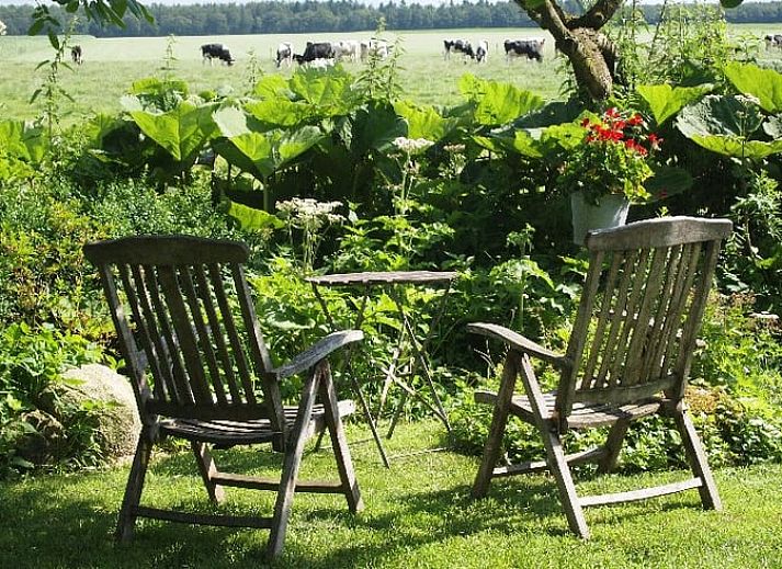 Vakantiehuis in Odoornerveen, gelegen in een groene omgeving met kippen in de tuin, Zuidoost Drenthe, Drenthe.