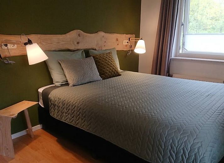 Ontdek het Vakantiehuisje in Odoornerveen, Drenthe, omgeven door weelderige natuur en een uitnodigend pad naar het gastenverblijf.