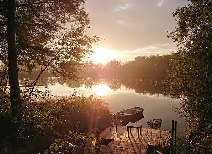 Ontdek het Vakantiehuisje in Odoornerveen, Drenthe, omgeven door weelderige natuur en een uitnodigend pad naar het gastenverblijf.