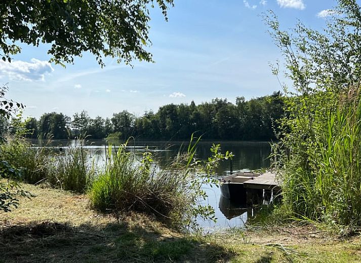 Ontdek het Vakantiehuisje in Odoornerveen, Drenthe, omgeven door weelderige natuur en een uitnodigend pad naar het gastenverblijf.