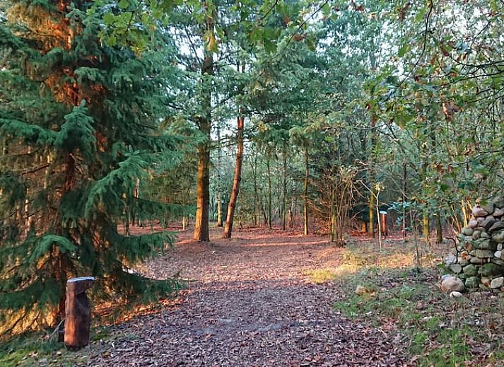 Gezellige woonkamer van Vakantiehuisje in Odoornerveen, Drenthe, met uitzicht op de natuur en toegang tot een zonnig terras.