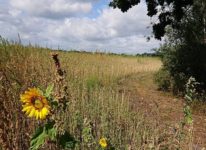 Gezellige woonkamer van Vakantiehuisje in Odoornerveen, Drenthe, met uitzicht op de natuur en toegang tot een zonnig terras.