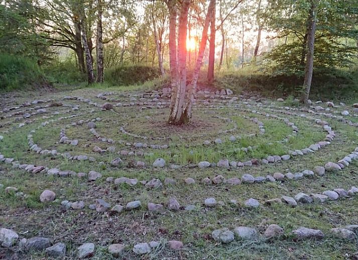 Gezellige woonkamer van Vakantiehuisje in Odoornerveen, Drenthe, met uitzicht op de natuur en toegang tot een zonnig terras.