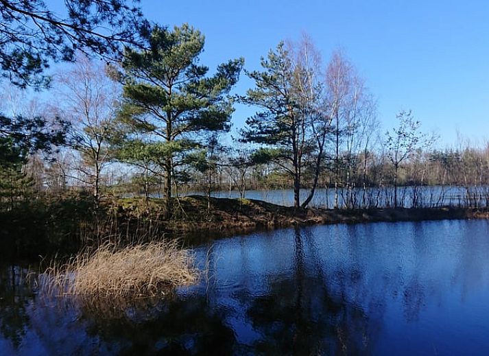 Gezellige woonkamer van Vakantiehuisje in Odoornerveen, Drenthe, met uitzicht op de natuur en toegang tot een zonnig terras.