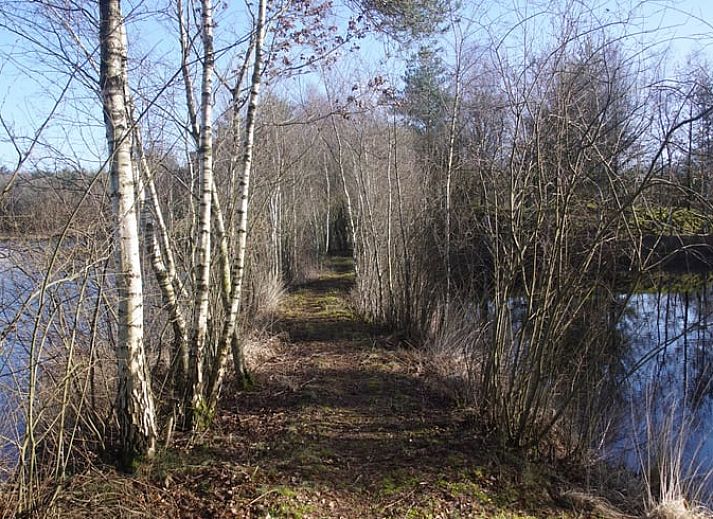 Gezellige woonkamer in Vakantiehuisje in Odoornerveen met uitzicht op terras en natuur in Zuidoost Drenthe.