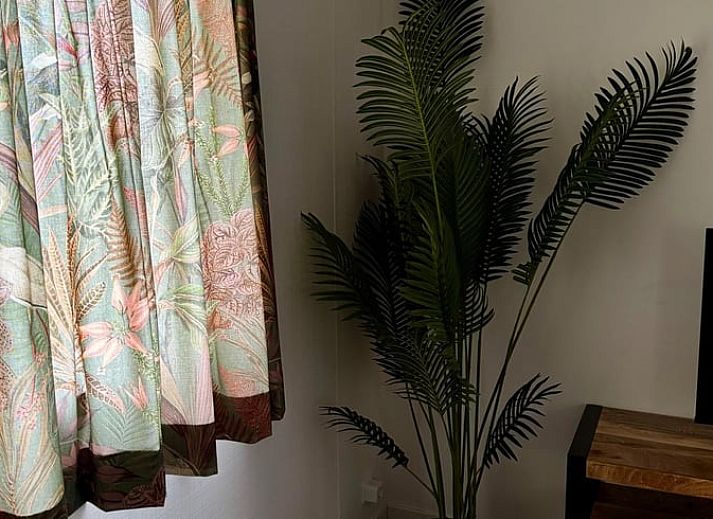 Spacious dining area on the terrace of cottage in Odoornerveen, Southeast Drenthe, ideal for cozy meals outdoors.