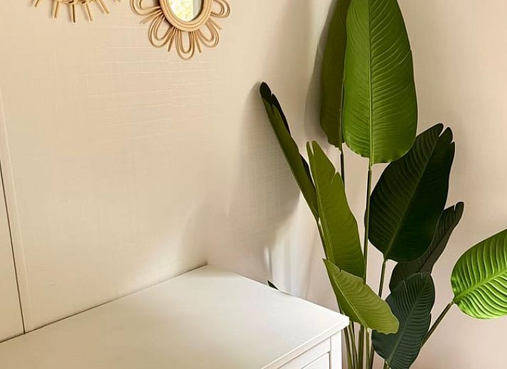 Spacious dining area on the terrace of cottage in Odoornerveen, Southeast Drenthe, ideal for cozy meals outdoors.