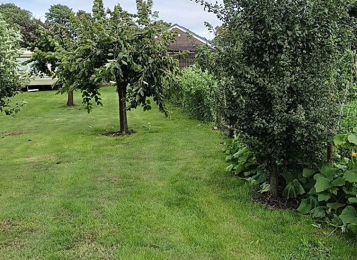 Cozy living room in Cottage in Emmer-Compascuum, vacation home in Southeast Drenthe, Drenthe.