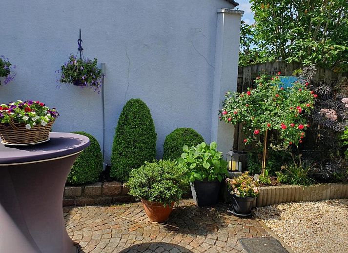 Guest house 193904 - Bed and Breakfast Zuid Limburg - B&B Carpe Diem