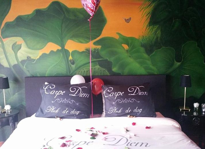 Guest house 193904 - Bed and Breakfast Zuid Limburg - B&B Carpe Diem