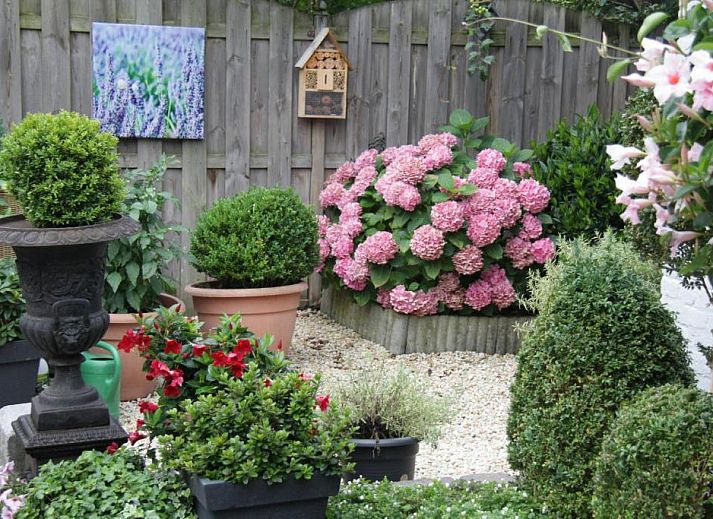 Guest house 193904 - Bed and Breakfast Zuid Limburg - B&B Carpe Diem