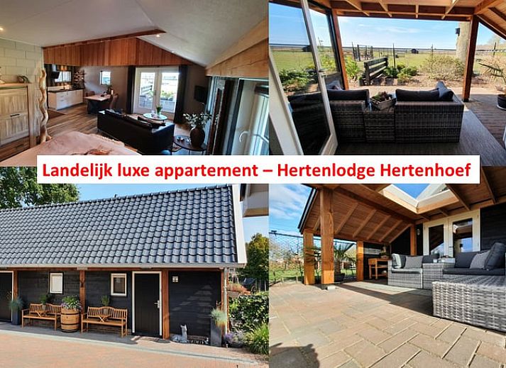 Vakantiehuisje in Fluitenberg met luxe veranda en uitzicht op Drentse natuur in Zuidwest Drenthe.