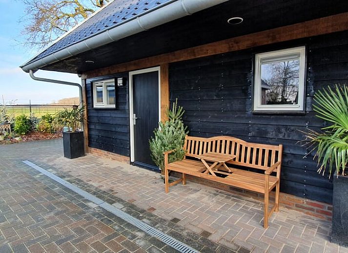 Alpaca's in de omgeving van Vakantiehuisje in Fluitenberg, geniet van de dieren en natuur in Zuidwest Drenthe.