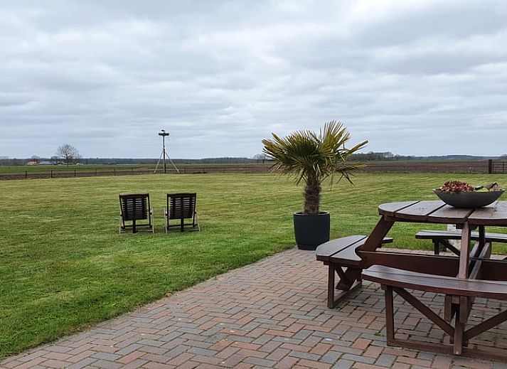 Alpaca's in de omgeving van Vakantiehuisje in Fluitenberg, geniet van de dieren en natuur in Zuidwest Drenthe.
