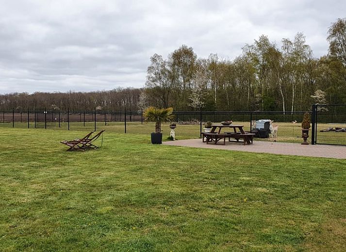 Stijlvolle woonkamer van Vakantiehuisje in Fluitenberg, ideaal voor ontspanning in Zuidwest Drenthe.
