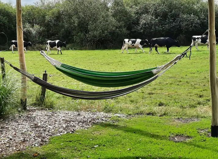 Verblijf 200108 - Vakantiewoning Zuidwest Drenthe - Boerenlodge 't Vennetje