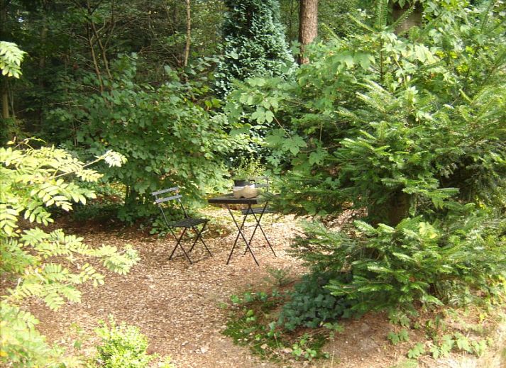 Verblijf 200202 - Bungalow Zuidwest Drenthe - DE larix 150