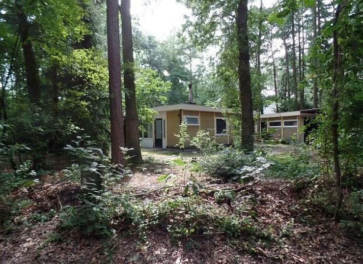 Unterkunft 200203 • Ferienhaus Zuidwest Drenthe • Leuke 4 persoons bungalow op rustige locatie in het bos in 
