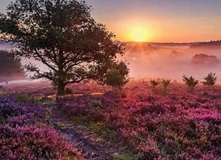 Gezellige woonkamer in Huisje in Doldersum, vakantiehuis in Zuidwest Drenthe