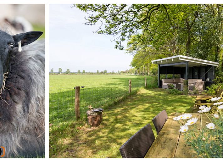 Unterkunft 200218 - Ferienhaus Zuidwest Drenthe - Vakantiehuis in Doldersum