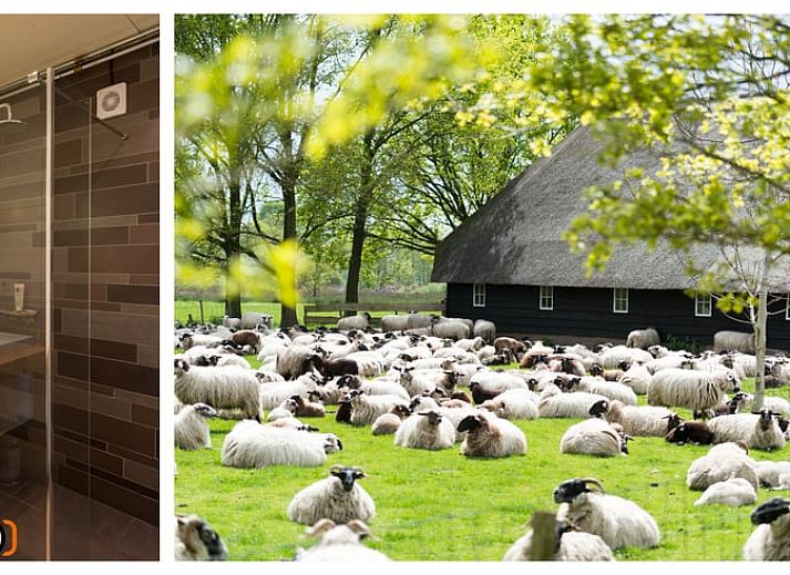 Unterkunft 200218 - Ferienhaus Zuidwest Drenthe - Vakantiehuis in Doldersum