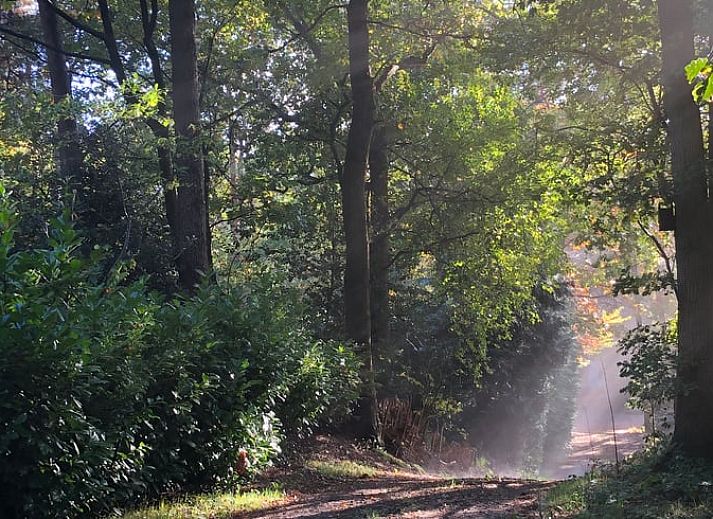 Cozy living room of Holiday Home in Doldersum, Southwest Drenthe, with modern kitchen and cozy interior for a relaxing stay.