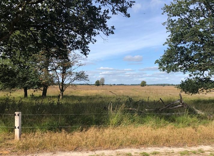 Bright dining room in Holiday home in Doldersum, Southwest Drenthe overlooking green garden, perfect for a relaxing stay in Drenthe.