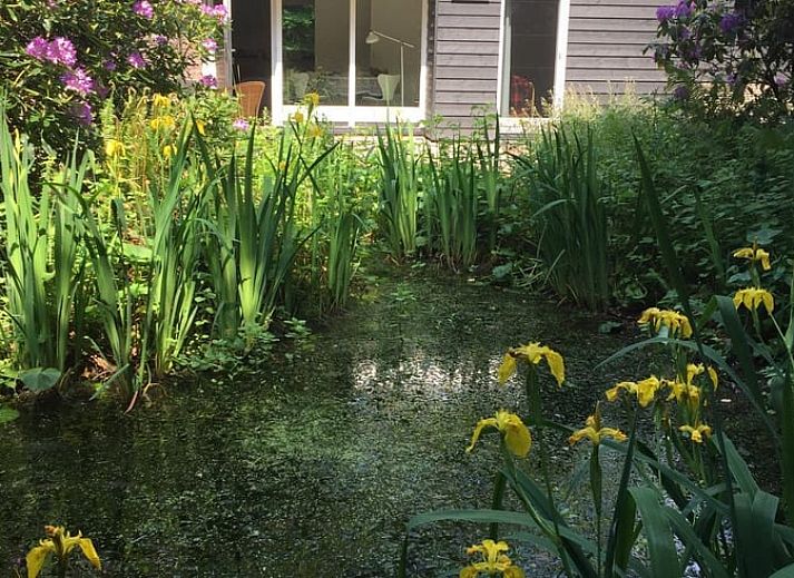 Geniet van de rust op het terras van Vakantiehuisje in Doldersum, gelegen in het groene Zuidwest Drenthe. Perfect voor ontspanning in de natuur.
