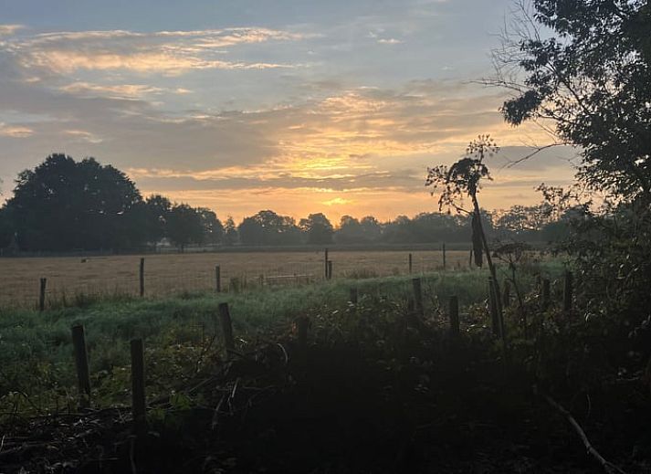 Geniet van de rust op het terras van Vakantiehuisje in Doldersum, gelegen in het groene Zuidwest Drenthe. Perfect voor ontspanning in de natuur.