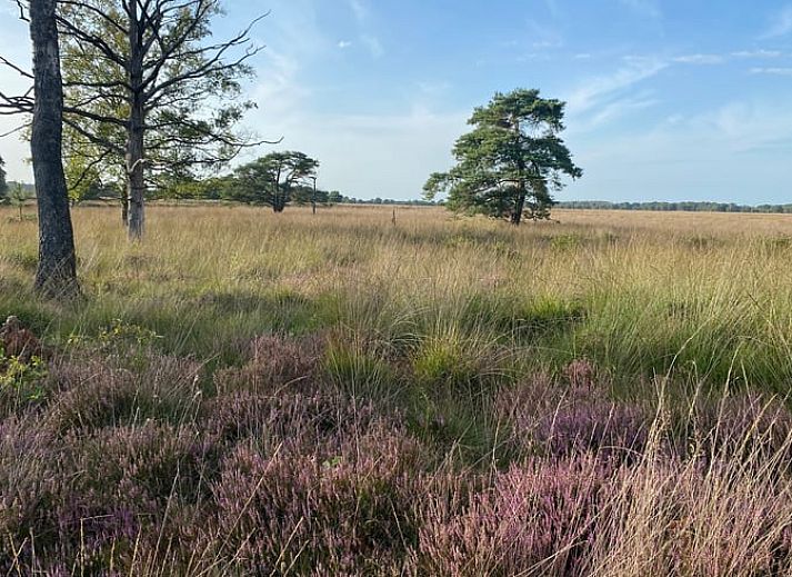 Gezellige terras van Vakantiehuisje in Doldersum, Zuidwest Drenthe, omgeven door groen en uitgerust met een ruime eettafel en parasol.