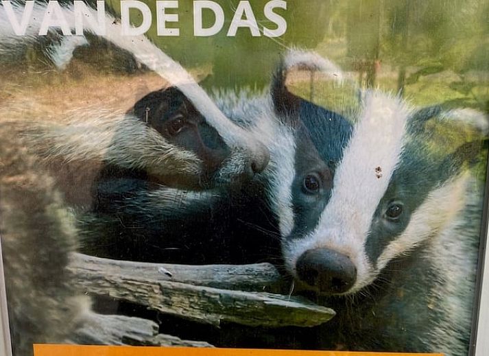 Gezellige terras van Vakantiehuisje in Doldersum, Zuidwest Drenthe, omgeven door groen en uitgerust met een ruime eettafel en parasol.