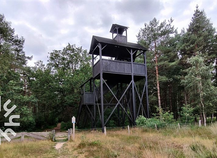 DG181 vakantiehuis in Doldersum, Drenthe met charmante veranda en groene omgeving.