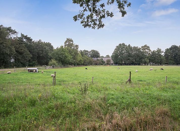 Unterkunft 200228 - Ferienhaus Zuidwest Drenthe - Vakantiehuisje in Doldersum