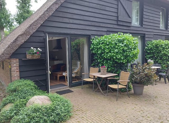 Charmant vakantiehuis in Havelte, Zuidwest Drenthe met rieten dak en gezellige buitenruimte.