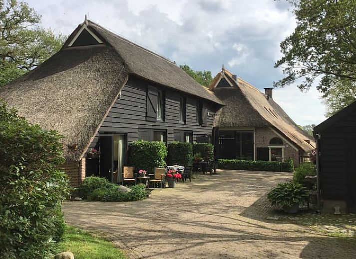 Charmant vakantiehuis in Havelte, Zuidwest Drenthe met rieten dak en gezellige buitenruimte.