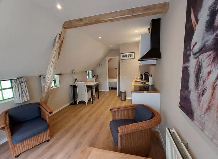 Charmant vakantiehuis in Havelte, Zuidwest Drenthe met rieten dak en gezellige buitenruimte.