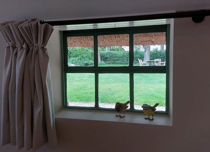 Veranda van Vakantiehuis in Havelte, Zuidwest Drenthe met zitje en groene omgeving.