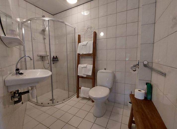 Authentiek vakantiehuis in Havelte, Zuidwest Drenthe met rieten dak en ruime binnenplaats.