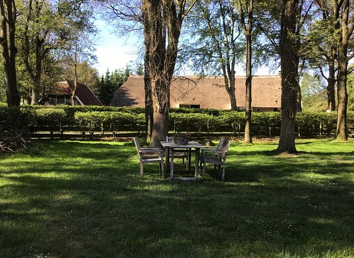 Authentiek vakantiehuis in Havelte, Zuidwest Drenthe met rieten dak en ruime binnenplaats.