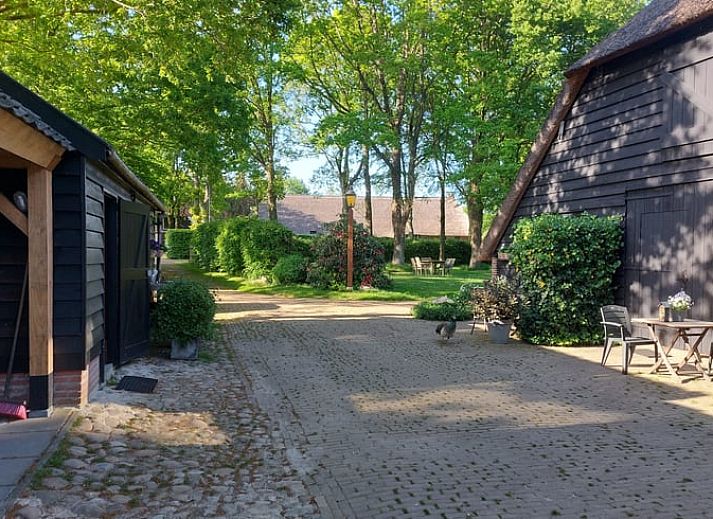 Gezellige binnenruimte van Vakantiehuis in Havelte, Zuidwest Drenthe met comfortabele zitplaatsen.