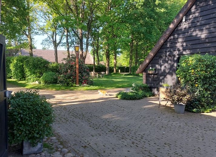 Gezellige binnenruimte van Vakantiehuis in Havelte, Zuidwest Drenthe met comfortabele zitplaatsen.