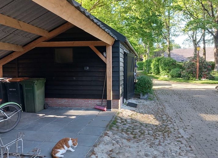 Gezellige binnenruimte van Vakantiehuis in Havelte, Zuidwest Drenthe met comfortabele zitplaatsen.