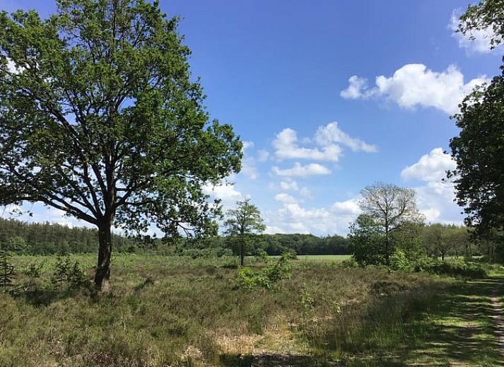 Gezellige binnenruimte van Vakantiehuis in Havelte, Zuidwest Drenthe met comfortabele zitplaatsen.