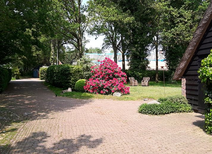 Lichte woonkamer van Vakantiehuis in Havelte, Zuidwest Drenthe met uitzicht op terras.