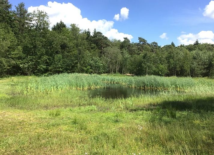 Lichte woonkamer van Vakantiehuis in Havelte, Zuidwest Drenthe met uitzicht op terras.